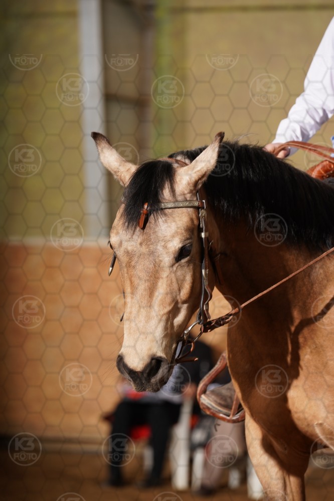 s_A9_02444.jpg